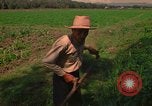 Standbild Landwirt Mexiko, 1975, aus Sekunde 59 historischem Filmmaterial Videoclip 65675039461