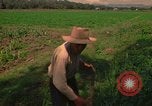 Standbild Landwirt Mexiko, 1975, aus Sekunde 60 historischem Filmmaterial Videoclip 65675039461