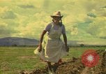 Immagine di Agricoltore Messico, 1975, secondo 1 filmato di repertorio 65675039462