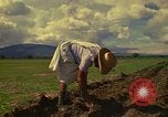 Immagine di Agricoltore Messico, 1975, secondo 3 filmato di repertorio 65675039462