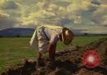 Immagine di Agricoltore Messico, 1975, secondo 4 filmato di repertorio 65675039462