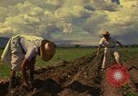 Immagine di Agricoltore Messico, 1975, secondo 5 filmato di repertorio 65675039462