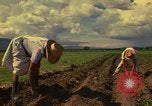 Immagine di Agricoltore Messico, 1975, secondo 6 filmato di repertorio 65675039462