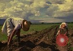 Immagine di Agricoltore Messico, 1975, secondo 7 filmato di repertorio 65675039462