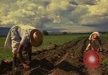 Immagine di Agricoltore Messico, 1975, secondo 8 filmato di repertorio 65675039462