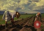 Immagine di Agricoltore Messico, 1975, secondo 9 filmato di repertorio 65675039462