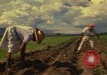 Immagine di Agricoltore Messico, 1975, secondo 10 filmato di repertorio 65675039462