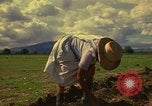 Immagine di Agricoltore Messico, 1975, secondo 12 filmato di repertorio 65675039462