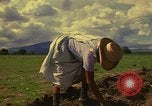 Immagine di Agricoltore Messico, 1975, secondo 14 filmato di repertorio 65675039462