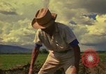 Immagine di Agricoltore Messico, 1975, secondo 17 filmato di repertorio 65675039462