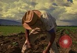 Immagine di Agricoltore Messico, 1975, secondo 18 filmato di repertorio 65675039462