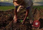 Immagine di Agricoltore Messico, 1975, secondo 19 filmato di repertorio 65675039462