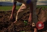 Immagine di Agricoltore Messico, 1975, secondo 20 filmato di repertorio 65675039462