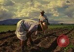 Immagine di Agricoltore Messico, 1975, secondo 22 filmato di repertorio 65675039462