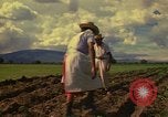 Immagine di Agricoltore Messico, 1975, secondo 25 filmato di repertorio 65675039462