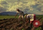 Immagine di Agricoltore Messico, 1975, secondo 27 filmato di repertorio 65675039462
