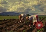 Immagine di Agricoltore Messico, 1975, secondo 28 filmato di repertorio 65675039462