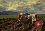 Immagine di Agricoltore Messico, 1975, secondo 29 filmato di repertorio 65675039462