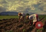 Immagine di Agricoltore Messico, 1975, secondo 30 filmato di repertorio 65675039462