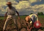 Immagine di Agricoltore Messico, 1975, secondo 31 filmato di repertorio 65675039462
