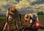 Immagine di Agricoltore Messico, 1975, secondo 32 filmato di repertorio 65675039462