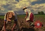 Immagine di Agricoltore Messico, 1975, secondo 34 filmato di repertorio 65675039462