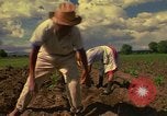 Immagine di Agricoltore Messico, 1975, secondo 36 filmato di repertorio 65675039462