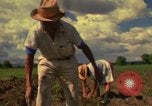 Immagine di Agricoltore Messico, 1975, secondo 37 filmato di repertorio 65675039462