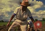 Immagine di Agricoltore Messico, 1975, secondo 38 filmato di repertorio 65675039462