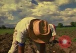 Immagine di Agricoltore Messico, 1975, secondo 40 filmato di repertorio 65675039462