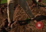 Immagine di Agricoltore Messico, 1975, secondo 41 filmato di repertorio 65675039462