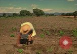Immagine di Agricoltore Messico, 1975, secondo 42 filmato di repertorio 65675039462