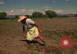 Immagine di Agricoltore Messico, 1975, secondo 43 filmato di repertorio 65675039462