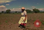Immagine di Agricoltore Messico, 1975, secondo 44 filmato di repertorio 65675039462