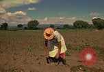 Immagine di Agricoltore Messico, 1975, secondo 45 filmato di repertorio 65675039462