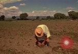 Immagine di Agricoltore Messico, 1975, secondo 46 filmato di repertorio 65675039462