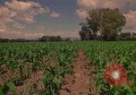 Immagine di Agricoltore Messico, 1975, secondo 51 filmato di repertorio 65675039462