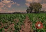 Immagine di Agricoltore Messico, 1975, secondo 52 filmato di repertorio 65675039462