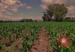 Immagine di Agricoltore Messico, 1975, secondo 54 filmato di repertorio 65675039462