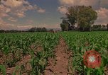 Immagine di Agricoltore Messico, 1975, secondo 56 filmato di repertorio 65675039462