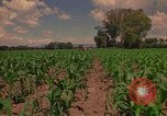 Immagine di Agricoltore Messico, 1975, secondo 58 filmato di repertorio 65675039462