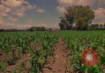 Immagine di Agricoltore Messico, 1975, secondo 60 filmato di repertorio 65675039462