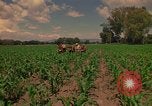 Immagine di Agricoltore Messico, 1975, secondo 61 filmato di repertorio 65675039462