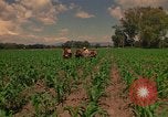 Immagine di Agricoltore Messico, 1975, secondo 62 filmato di repertorio 65675039462