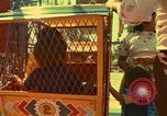 Immagine di Parco dei divertimenti Città del Messico MESSICO, 1975, secondo 49 filmato di repertorio 65675039463