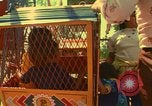 Immagine di Parco dei divertimenti Città del Messico MESSICO, 1975, secondo 50 filmato di repertorio 65675039463
