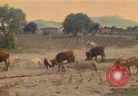 Image of man Mexico, 1975, second 1 stock footage video 65675039467