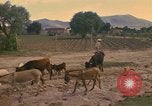 Image of man Mexico, 1975, second 4 stock footage video 65675039467