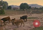Image of man Mexico, 1975, second 5 stock footage video 65675039467