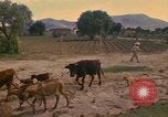 Image of man Mexico, 1975, second 6 stock footage video 65675039467